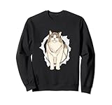 Photo Gallery fissare gattino amante dei gatti ragdoll felpa Photo Gallery fissare gattino amante dei gatti ragdoll felpa