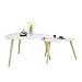 Couchtische Sofatisch 2er Set Beistelltische Wohnzimmertisch skandinavisch Kaffeetisch Satztisch für Wohnzimmer Schlafzimmer Minimalismus HWB06-HOL