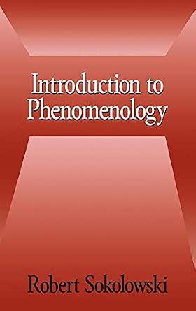 Introduction to Phenomenology Introduction to Phenomenology book cover