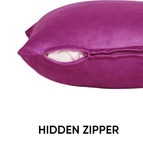Image of Amazon Brand - Umi Velvet Decorative Cushion Cover 16x16 Inch - Set of 5, Soft Solid Square Throw Pillow Covers for Sofa, Living Room or Home Decor - 40x40 cm in Purple Color