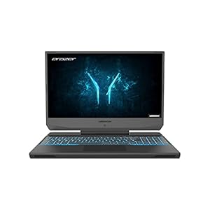 ERAZER Deputy P10 39,6 cm (15,6 Zoll) Full HD Gaming Notebook (Intel Core i7-10750H, 16GB DDR4 RAM, 512GB PCIe SSD, NVIDIA GeForce RTX 2060 6GB GDDR6, RGB Backlit Keyboard, Win 10 Home)