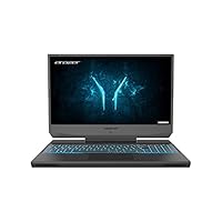 MEDION ERAZER Deputy P10 39,6 cm (15,6 Zoll) Full HD Gaming Notebook (Intel Core i7-10750H, 16GB DDR4 RAM, 512GB PCIe SSD, NVIDIA GeForce RTX 2060 6GB GDDR6, RGB Backlit Keyboard, Win 10 Home)