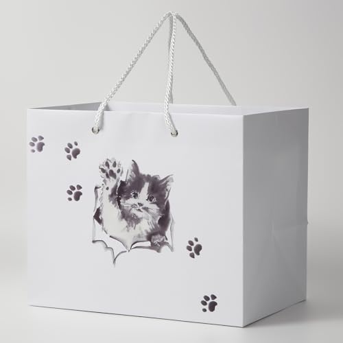 ݂ yMtgobO qL 10Zbgz30×25×}`20cm  񂰑