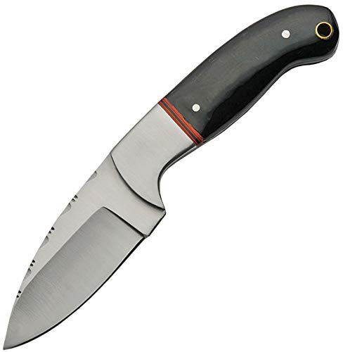 Pakistan Skinner Horn PA3407HN