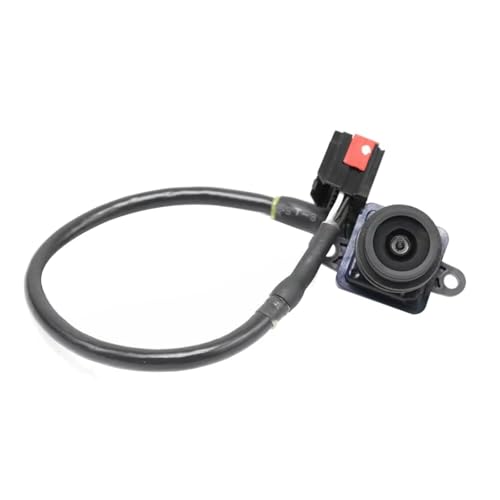 Caméra de recul Dodge Charger 2011-2014 : solution écran noir pour 56054058AH