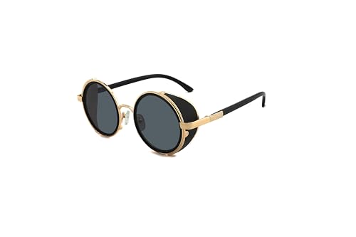 Technigadgets Rowan Steampunk Round Sunglasses Metal Vintage Retro Side Shield Gift For Men Women UV400 Outdoor Fashion Eyewear UV Protection Gold/Black