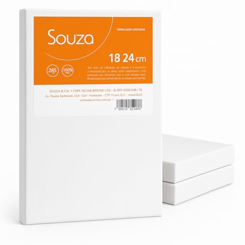 Kit com 3 Telas para Pintura Souza & Cia 18x24cm – Algodão 100% com Chassi de Madeira – Souza – Ideal para Iniciantes, Escola e Ateliê (Kit 3 Telas – 18x24cm)