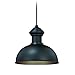 VAXCEL Farmhouse Indoor Outdoor Pendant - Franklin 10" Oil Rubbed Burnished Bronze & Gold Hanging Ceiling Light with Adjustable Cord, Exterior Barn Light for Porch, Patio, Front Door, Entryway, Patio