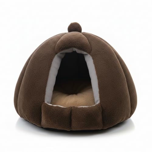 Yongtai xbh h[ ybgxbh h[^ ybgnEX Lpg p ~p ӂӂ 􂦂 NbVt pxbh  t LnEX  nEX ybgxbh Lp K ۉ ΍ ^/^ ybgpi