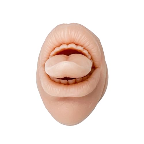 VnmcryVRf 1:1͌^ sAXK OsAXK h sAXW 悫K AWAnF 2Zbg