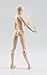 TAMASHII NATIONS Bandai S.H. Figuarts Woman DX Set