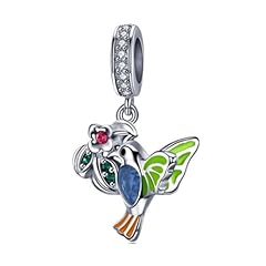 Hummingbird Multicolored Bird