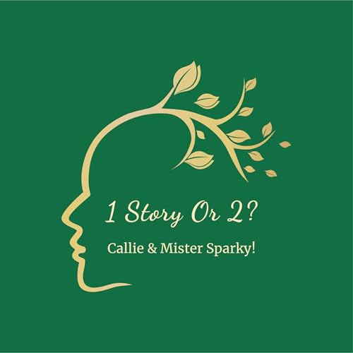 『1 Story Or 2? - Podcast』のカバーアート