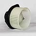 TYC 700187 Chevrolet/GMC Replacement Blower Assembly