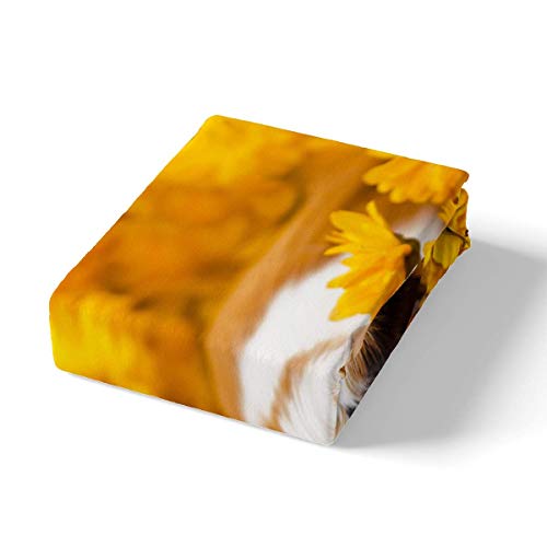 Magnetische Geschirrspüler-Abdeckung – 58,4x66 Cm, Mit Meerschweinchen & Blumen, PVC