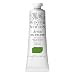 Winsor & Newton 1214599, Sap Green Artists' Oil Colour Paint, 37ml Tube, 37-ml