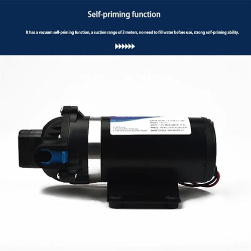 Pompe DP-160 DC 12V électrique pour nettoyer en extérieur - 4