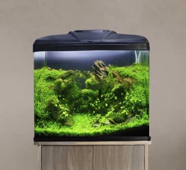 Aqua One AquaVue 580 Aquarium - 75L