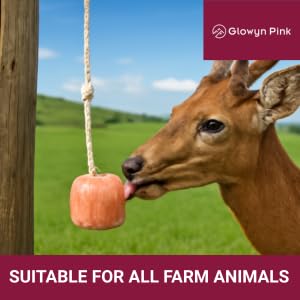 Image of Himalayan Mineral Salt Block on Rope Pack of 4 (3lbs each) - 100% Organic Pink Salt Lick for Horses and Livestock. Deer Attractant with No Harmful Elements.