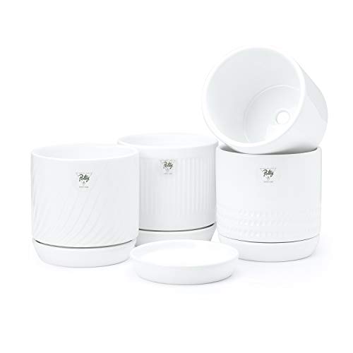https://m.media-amazon.com/images/I/31FCdTUnLfL._SL500_.jpg