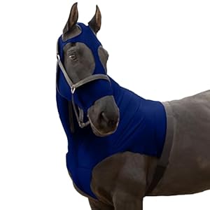 RESISTANCE Premium Horse Hood Pull-On with Face – Horse Sleazy Slickers and Horse Care Sheet