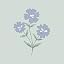 38 Bouquet Floral Blue