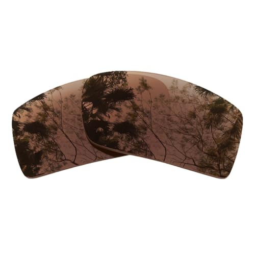 Image of Polarized Replacement Lenses for Oakley Gascan Sunglasses-Multi Options,with Lens Cloth