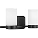 Progress Lighting P300021-031 Elevate Bath & Vanity, Black