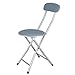 CABLEPELADO - Silla Plegable Metalica con Respaldo - Taburete con Respaldo - Asiento - silleta - banqueta - Ligera - Plegado Compacto - Color Gris