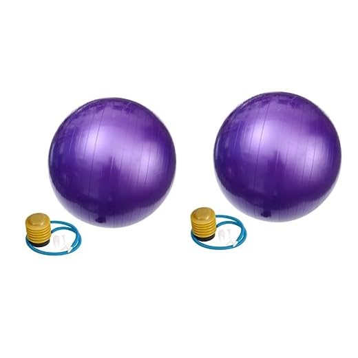 Toddmomy 2 Peças De Exercícios De Ginástica Para Parto Ioga Exercícios De Fitness Bola De Ioga Anti-Explosão Ferramenta De Treinamento De Estabilidade Bola De Pilates Bola De