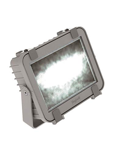 Beghelli BEGF50LED Proiettore LED 50 W, Multicolore