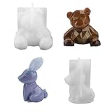 Fabricación de Regalos:Este molde de fundición de resina reutilizable es una buena opción para compartir su artesanía con sus amigos y familiares,disfrutar juntos de sus momentos felices.También puede usar moldes de joyería de resina para hacer una artesanía linda y hermosa para su amante,amigos,familia,compañeros de clase.