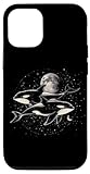 Orca Whale In Space