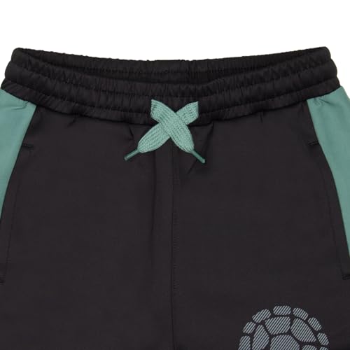 Image of Nickelodeon Teenage Mutant Ninja Turtles Boys Zip-Up Hoodie and Joggers 2-Pack, TMNT Boys Hoodie and Sweatpants Bundle Set