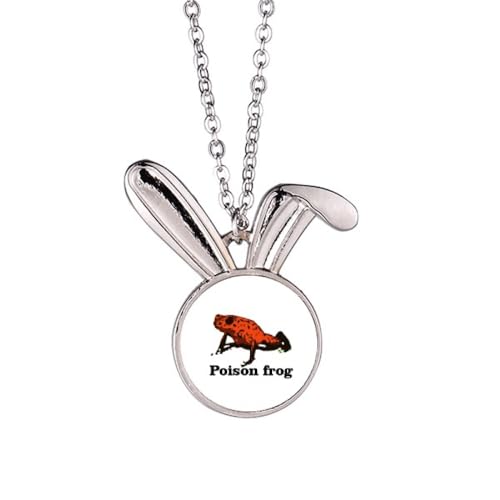 [no/no] AWAyXg 킢lbNXANZT[LOi