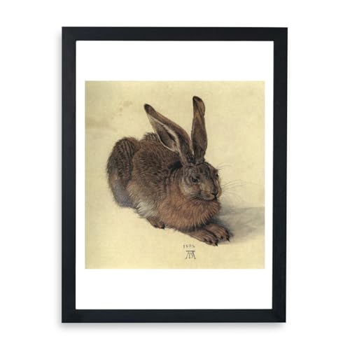 Albrecht Durer Affiche encadrée Jeune lièvre pour habiller un mur vide avec élégance