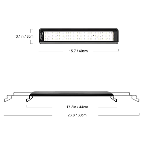 IREENUO LED Acquario, Lampada Acquario con Timer