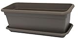 Pflanztrog mit Löchern im Boden und Untersetzer, eckig - Trog Pflanztrog Bepflanzen Kasten Pflanzkasten Blumen Blumenkasten Pflanzgefäß Kunststoffkübel Kübel (Taupe, 59 cm x 30 cm 26 cm hoch)