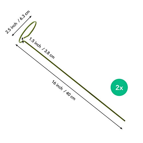 2 Pack Plant Stakes | Plant Supports For Tall Plants And Flowers | Green Garden Stakes | Help Your Flowers Grow | Tomato Cages For Garden | Plant Sticks For Orchid, Amaryllis, Peony, Peppers And More #TOP3