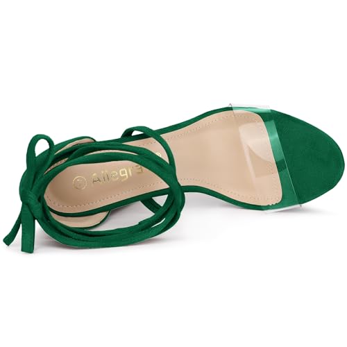 Image of Allegra K Women's Platform Lace Up Clear Chunky Heels Sandals