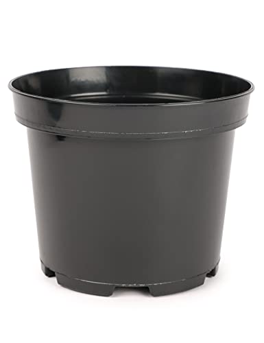 Whitefurze Runder Blumentopf Aus Kunststoff | Schwarz, 24 Cm Durchmesser, Mit Untersetzer