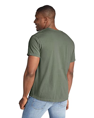Image of Comfort Colors Adult Short Sleeve Tee, Style G1717