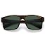 Matte Tortoise | Polarized Dark Green