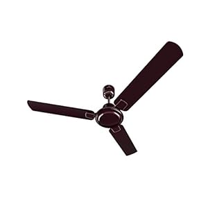 Bajaj Regal Gold NXG 1200 mm Ceiling Fan Matte Wine Red