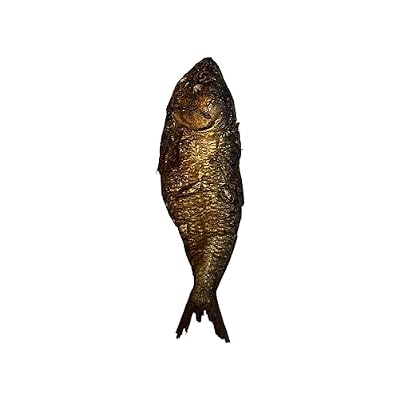 Bonga Fish (15 PIECES (14oz)