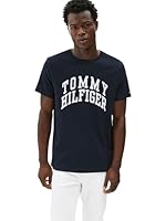 Tommy Hilfiger Men's M Becker TEE Shirt, Desert Sky, LG