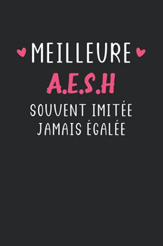 livre Meilleure aesh souvent imitée jamais égalée: Carnet de notes aesh humour - 110 pages lignées - cadeau aesh original Accompagnante des Elèves en Situation de Handicap