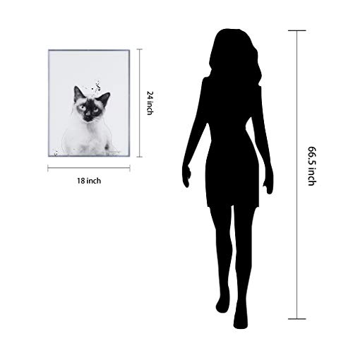 Empire Art Direct Siamese Black And White Pet Cat Wall Art, Glass Encased With Gunmetal Anodized Frame Contemporary,Ready To Hang,Living Room,Bedroom ＆ Office, 18 In. X 1 In. X 24 #TOP7