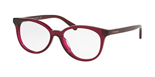 Lunettes de soleil Coach HC 6138 U 5604 bordeaux transparent : monture tendance pour femme