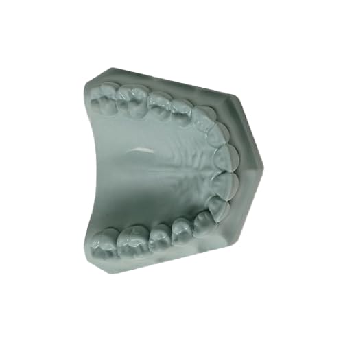 Whip-Mix 330001 Hard Rock Dental Die Stone ISO Type 5 Aqua 33 Lbs 15 Kg